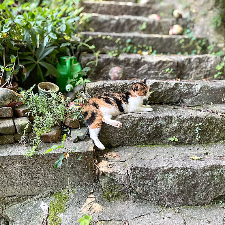 【旅のレポート】招き猫美術館in尾道／広島県｜2025年8月訪問